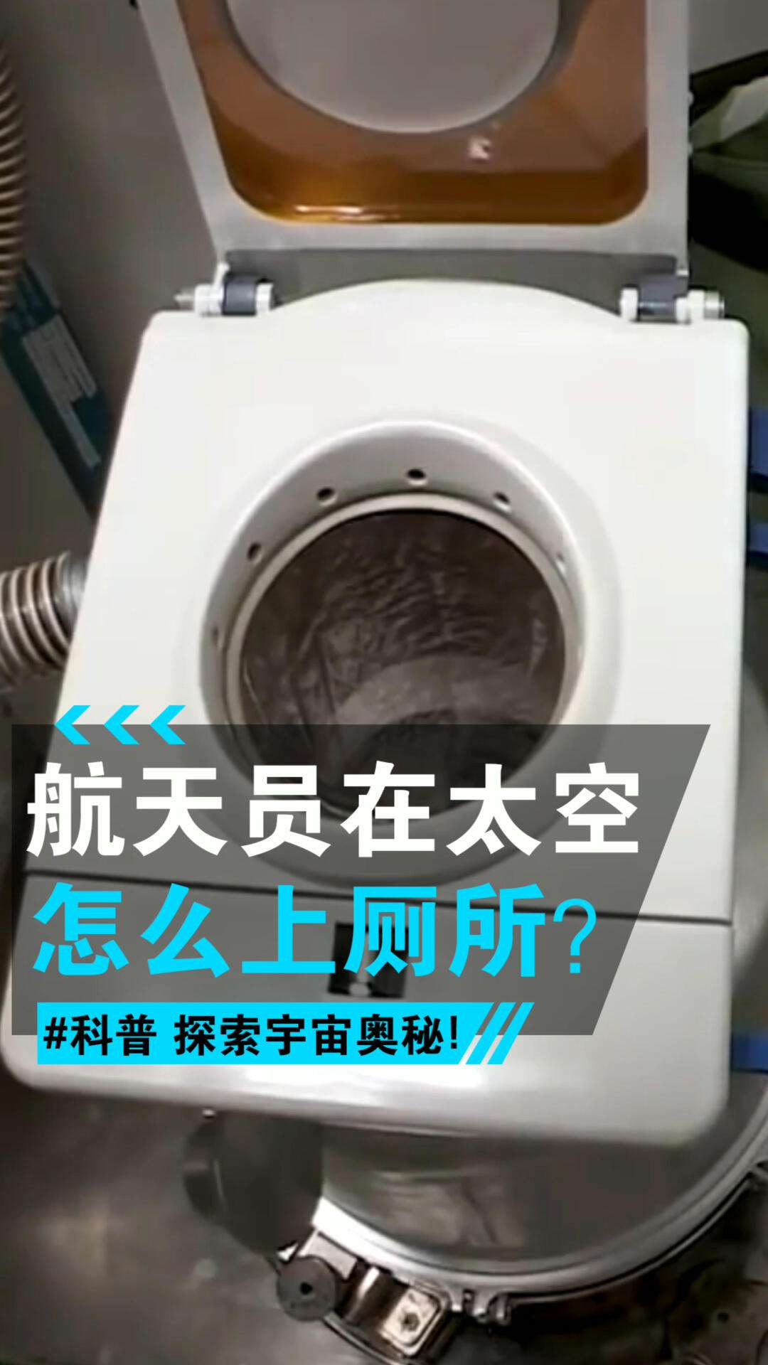 魔力宝贝天魔菲尼斯上面站的是谁的简单介绍